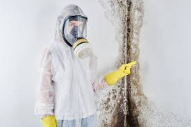 Trusted Ketchikan, AK Mold Prevention & Removal  Experts